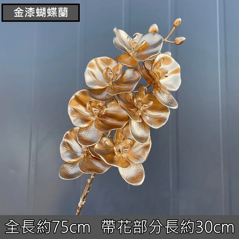 (金漆)大蝴蝶蘭