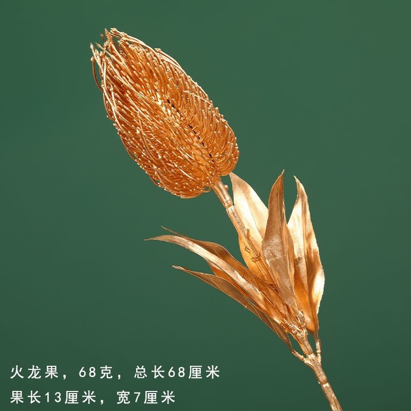 (金漆)火龍果