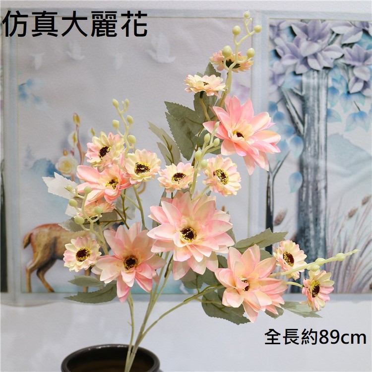大麗花(粉),價格為1枝(個)的價格
