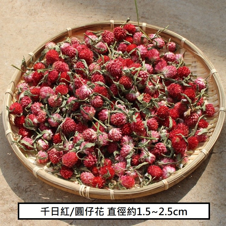 ❰紅色❱千日紅(10個),🦊~賣場商品眾多，歡迎參觀選購~🦊