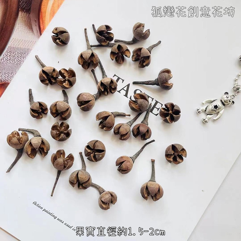 ❰原色❱小十字果(10個)