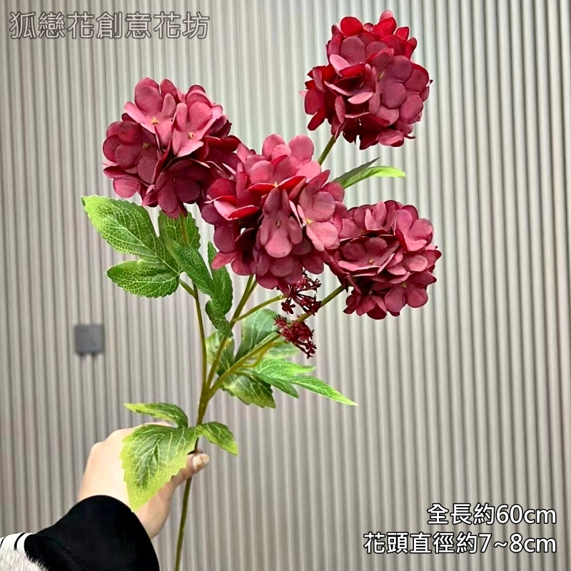4頭夢幻繡球❰酒紅❱