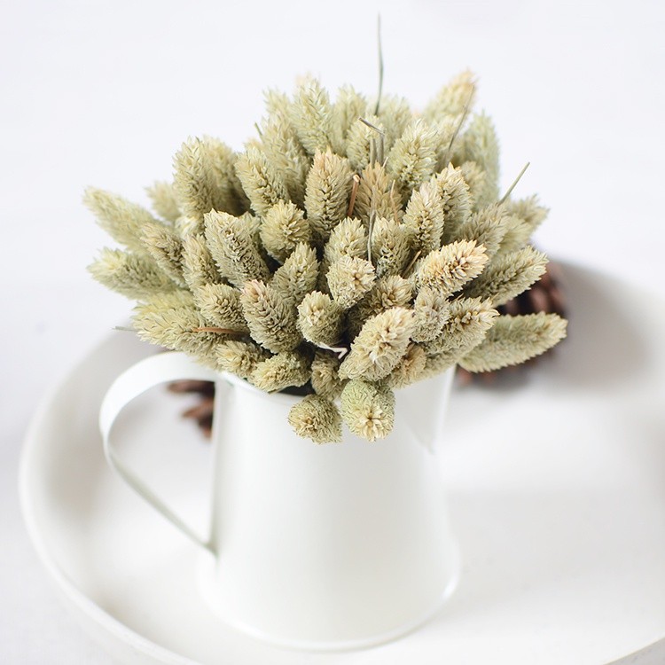 台灣現貨【佳那利乾燥花材】佳那利寶石草 細緻花序填充花束 花圈藤圈DIY 聖誕佈置桌花瓶插拍照 花藝材料