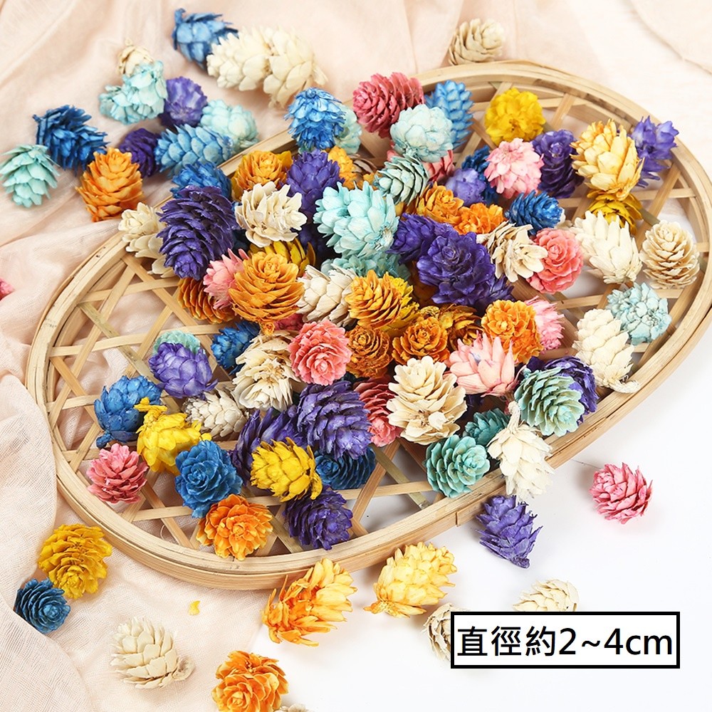 〖彩色〗落葉松果(顏色隨機),🦊~賣場商品眾多，歡迎參觀選購~🦊