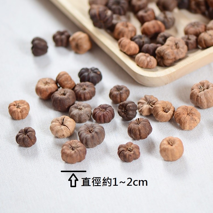 台灣現貨【綜合乾燥花材包】兔尾草佳那利烏臼素材 多色10枝 藤圈花圈DIY 聖誕手作課程材料 花藝材料 花圈藤圈 聖誕佈