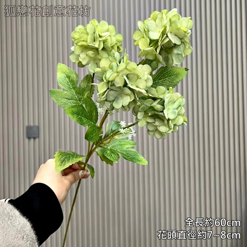 4頭夢幻繡球❰綠色❱
