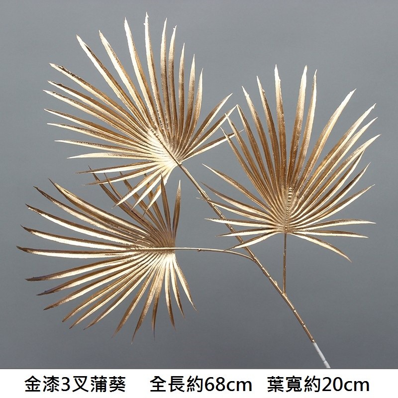 (金漆)長枝三頭蒲葵