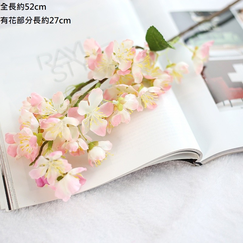 巴黎櫻花(淺粉),價格為1枝(個)的價格