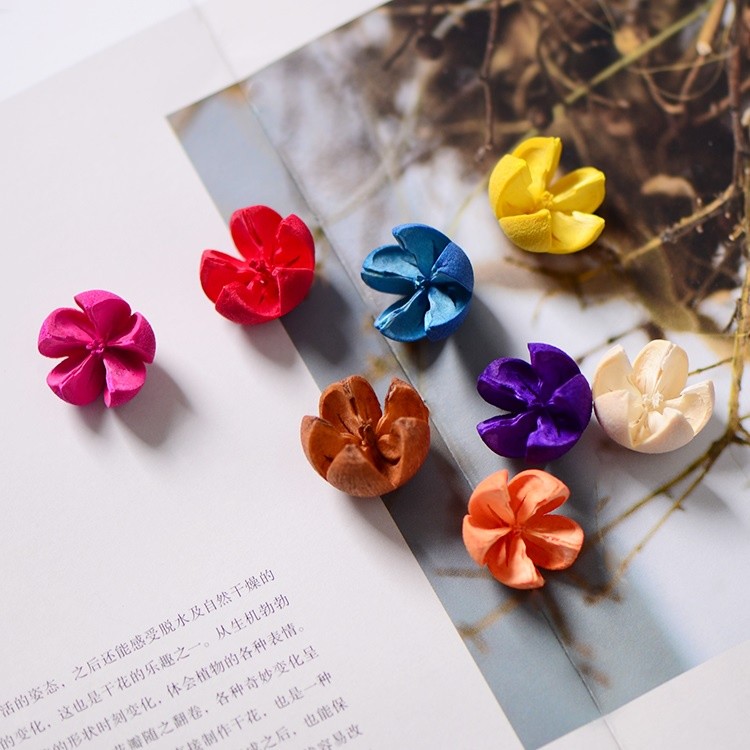 台灣現貨【乾燥十字果】開口笑木荷果實 天然果殼立體裂口 花圈藤圈插花素材 聖誕花藝佈置拍照 花藝材料 聖誕佈置