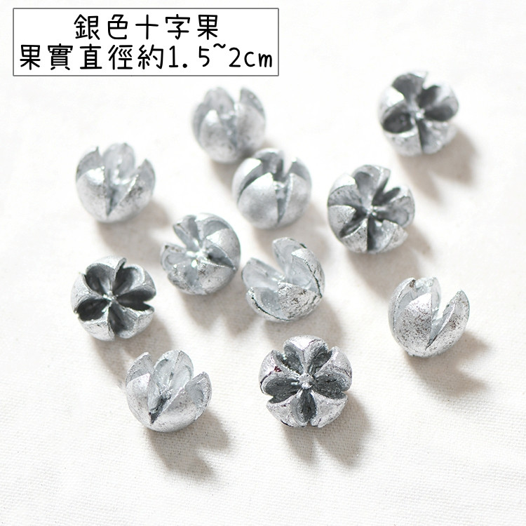 ❰銀色❱小十字果,10顆以上出貨