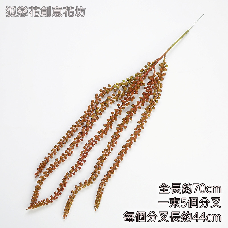5叉大淚雨藤(秋色),價錢為1束的價格