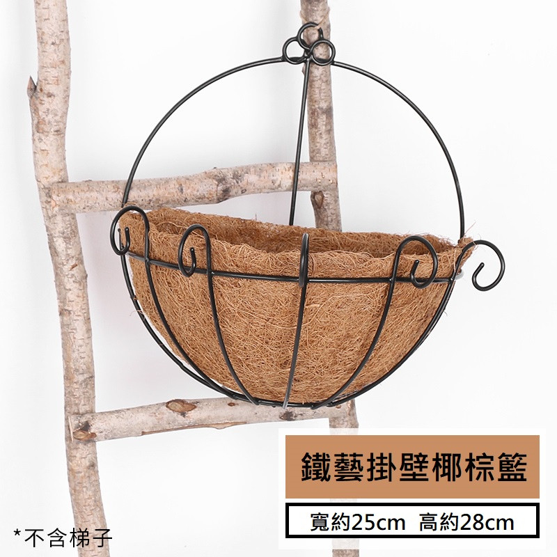 掛壁椰棕籃,價錢為1束的價格