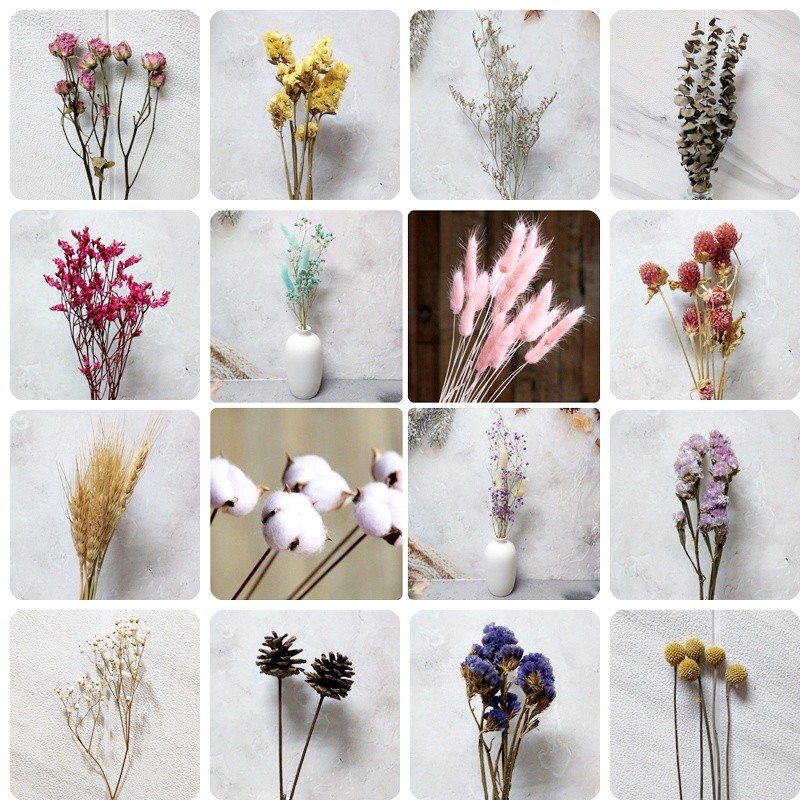 台灣現貨【綜合乾燥花材包】兔尾草佳那利烏臼素材 多色10枝 藤圈花圈DIY 聖誕手作課程材料 花藝材料 花圈藤圈 聖誕佈