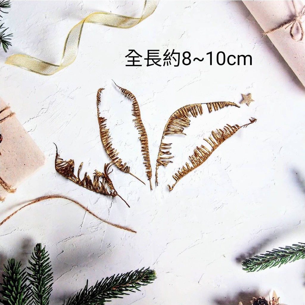 金色 芒萁（5片）,🦊~賣場商品眾多，歡迎參觀選購~🦊