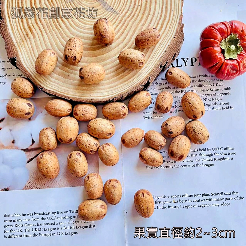 (深色)菩提子(5顆),🦊~賣場商品眾多，歡迎參觀選購~🦊