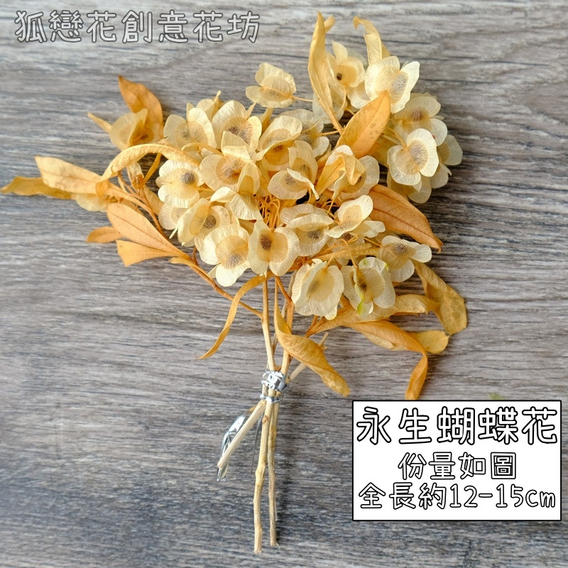 ❰黃色❱永生蝴蝶花(1份),份量請以選項為主