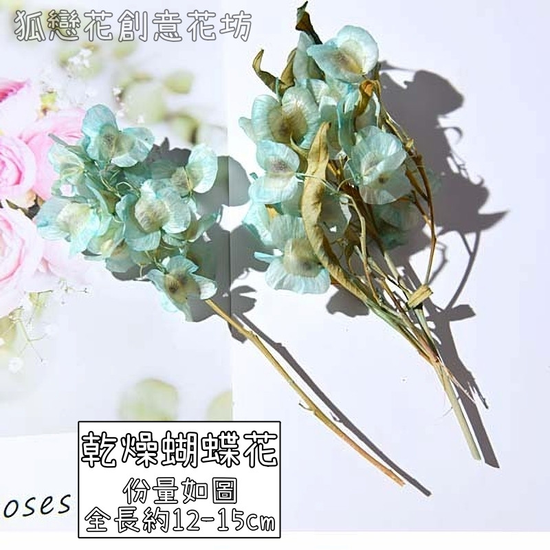 ❰藍色❱乾燥蝴蝶花(1份),份量請以選項為主