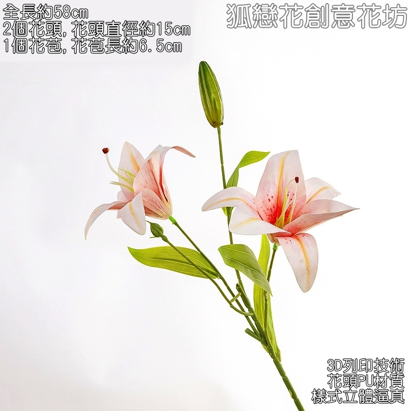 2頭百合❰香檳粉❱綠色花苞,🦊~賣場商品眾多，歡迎參觀選購~🦊