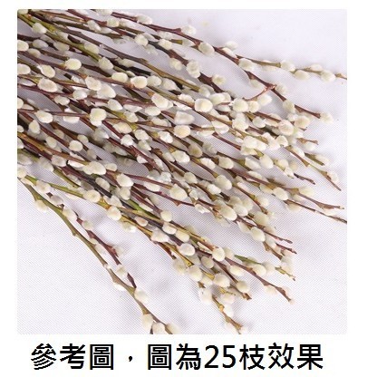 30~40cm乾燥〖白〗銀柳6枝