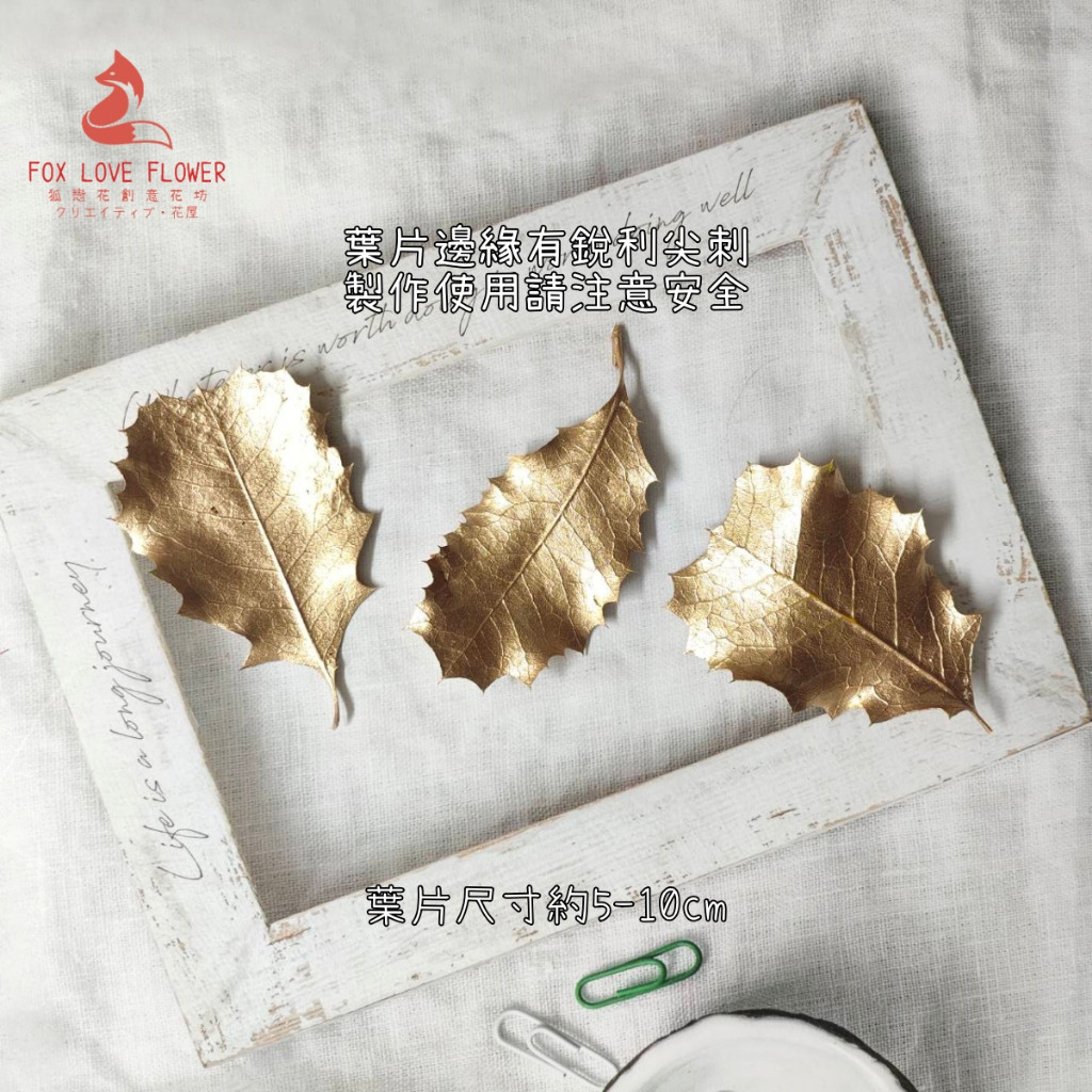金色 歐洲冬青葉（3片）,🦊~賣場商品眾多，歡迎參觀選購~🦊