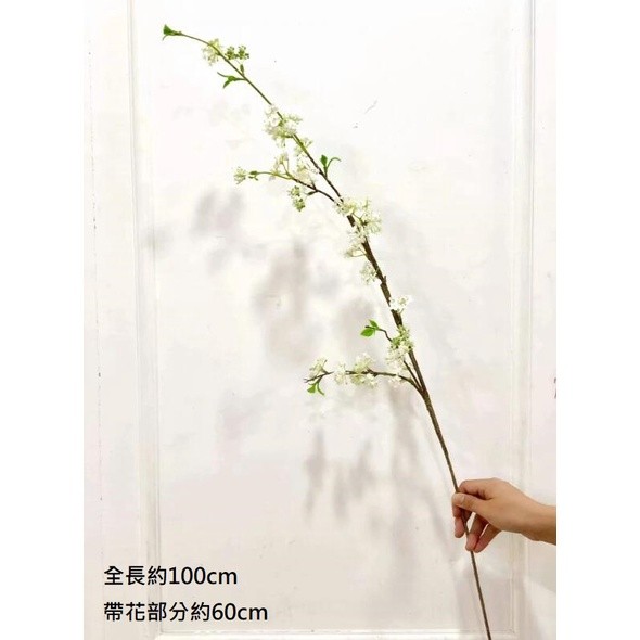 日本雪柳(白),價格為1枝(個)的價格