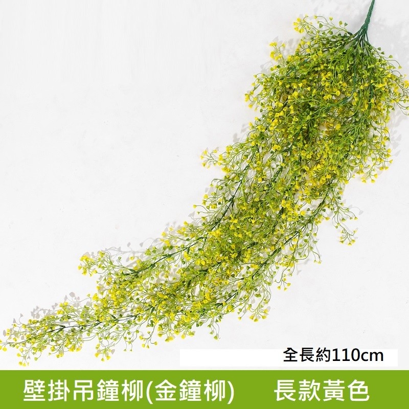 長款壁掛吊鐘柳(金鐘柳)黃色,價錢為1束的價格