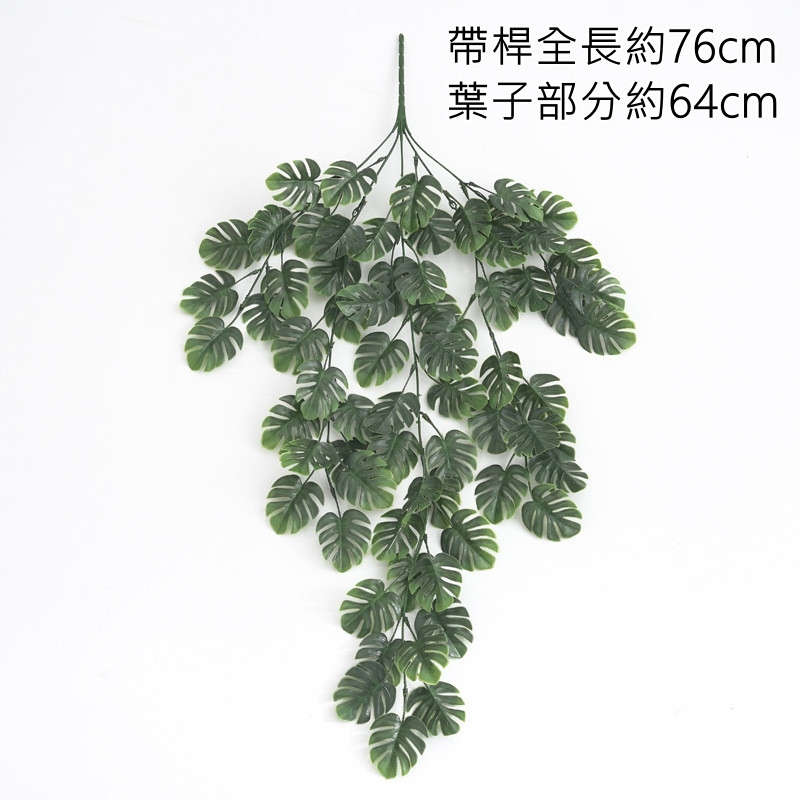 壁掛5叉小龜背葉(深綠),價錢為1束的價格