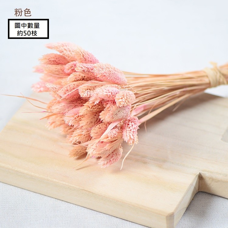 粉色,價錢為1枝的價格