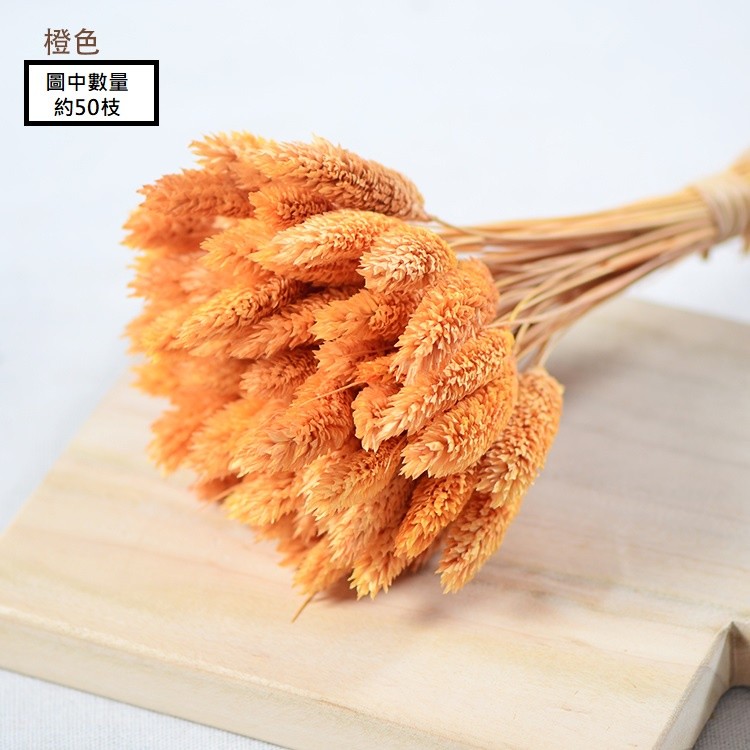 橘黃色,價錢為1枝的價格