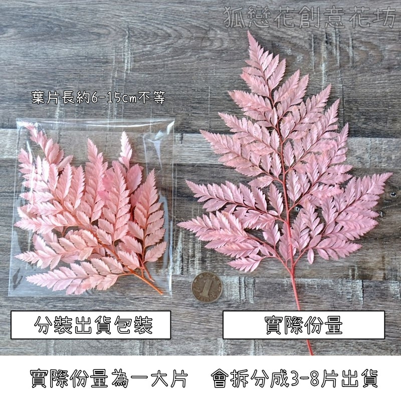 ❰粉色❱高山羊齒(1片),份量請以選項為主