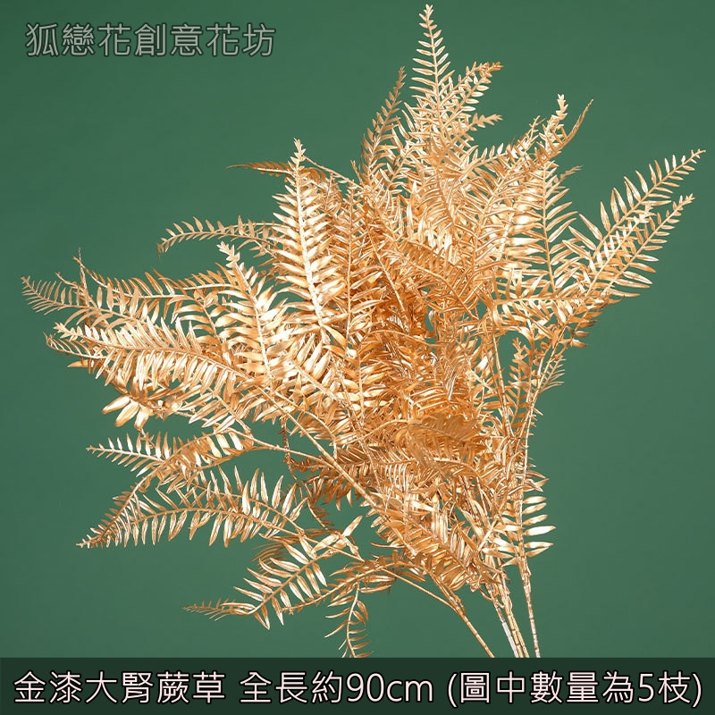 (金漆)大腎蕨葉