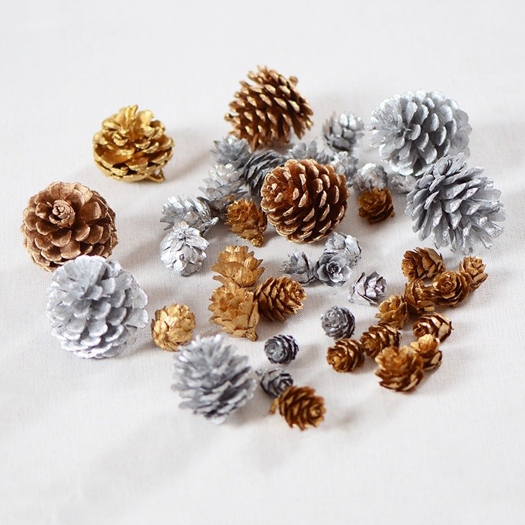 <金色>,小馬尾松果(3入)約3~6cm