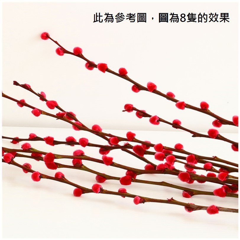 30~40cm染色〖紅〗銀柳6枝