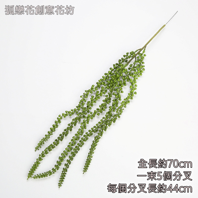 5叉大淚雨藤(深綠),價錢為1束的價格
