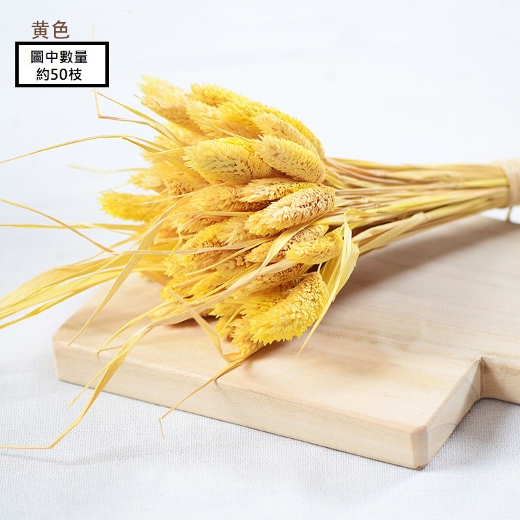 黃色,價錢為1枝的價格