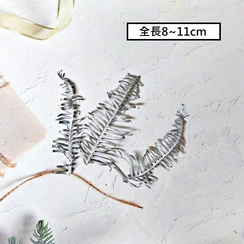 銀色 芒萁（5片）,🦊~賣場商品眾多，歡迎參觀選購~🦊