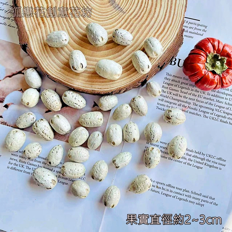 (淺色)菩提子(5顆),🦊~賣場商品眾多，歡迎參觀選購~🦊