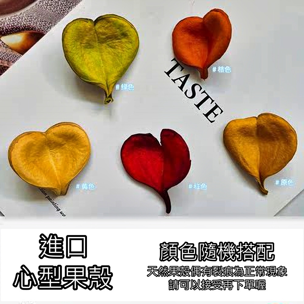 心型果殼(3片)顏色隨機,🦊~賣場商品眾多，歡迎參觀選購~🦊