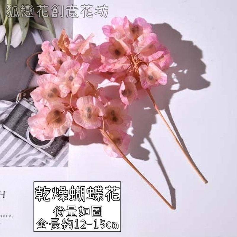 ❰粉色❱乾燥蝴蝶花(1份),份量請以選項為主
