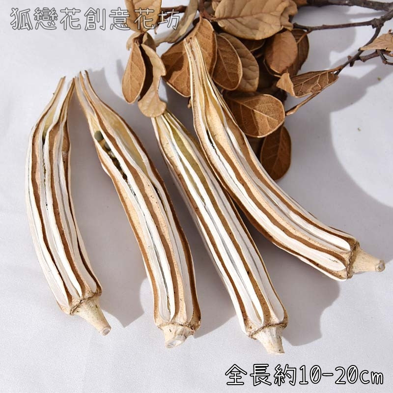 秋葵(2枝)