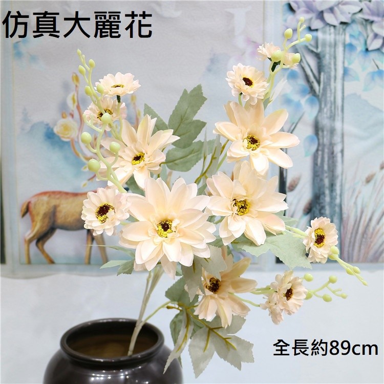大麗花(白),價格為1枝(個)的價格
