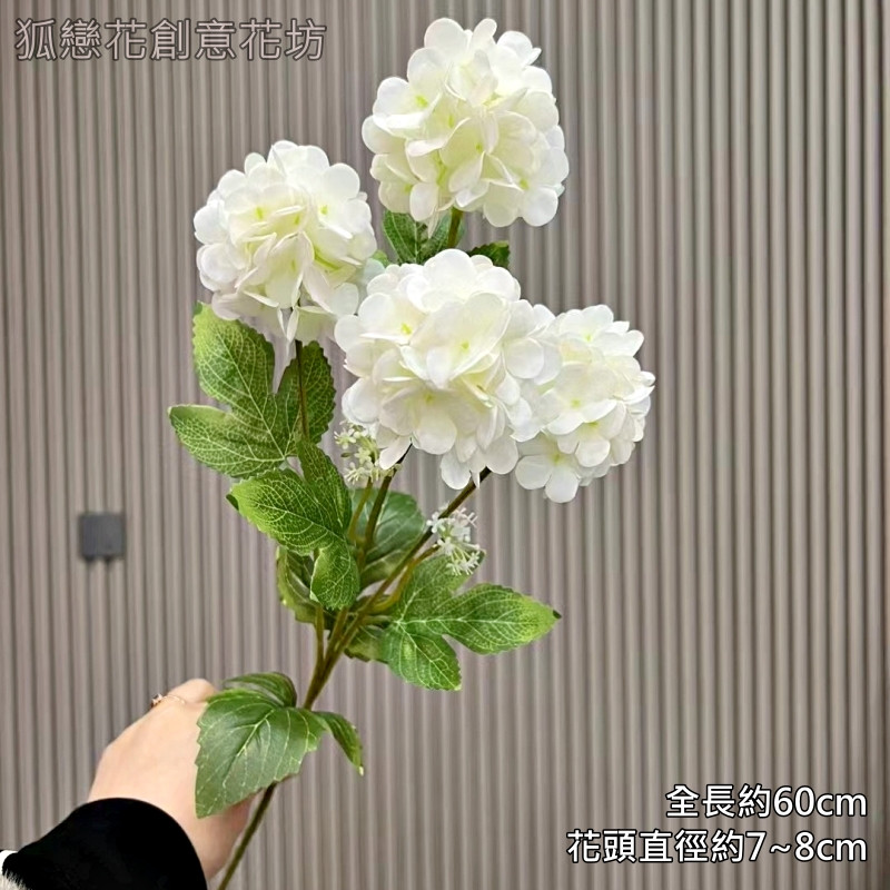 4頭夢幻繡球❰白色❱