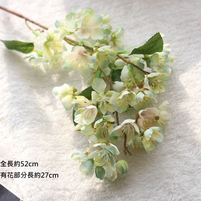 巴黎櫻花(艾藍),價格為1枝(個)的價格