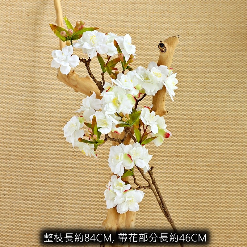 日式櫻花(白色),價格為1枝(個)的價格
