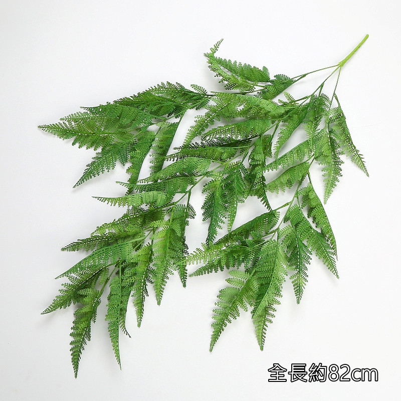 壁掛大蕨草,價錢為1束的價格