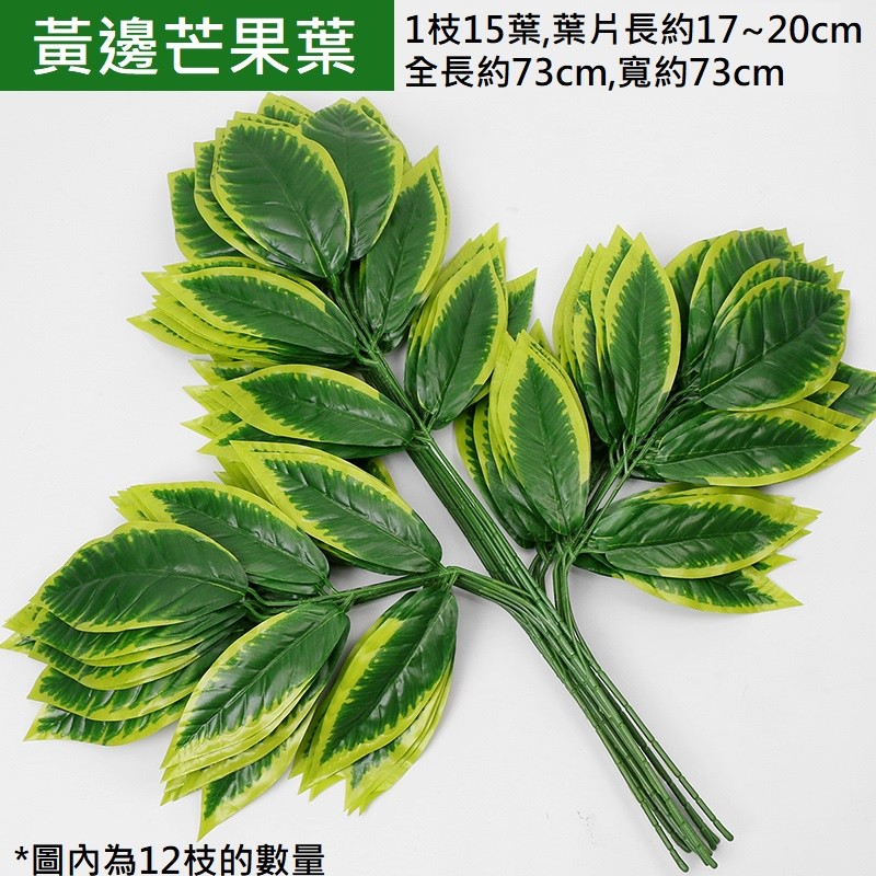 黃邊芒果葉(買10送2),價格為1枝的價格