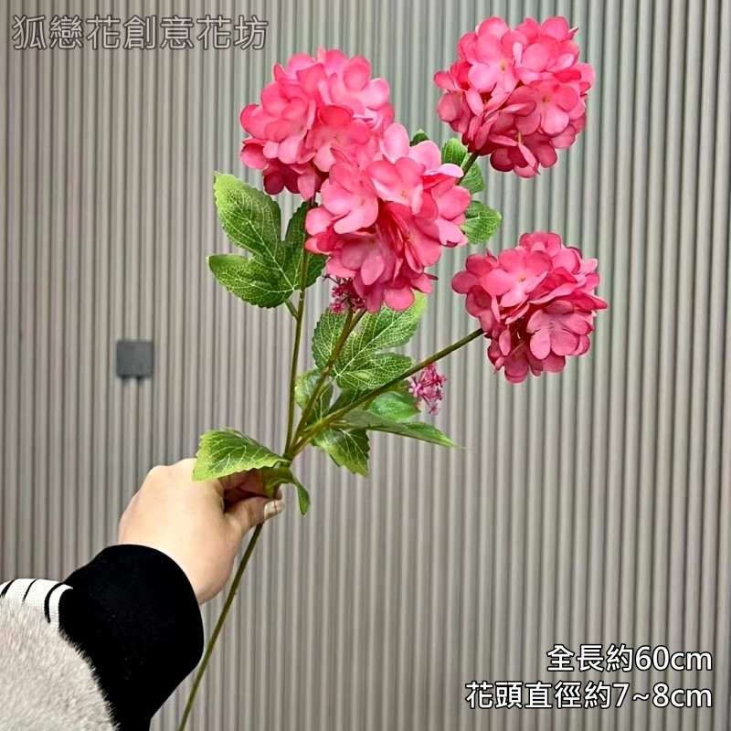 4頭夢幻繡球❰玫紅❱