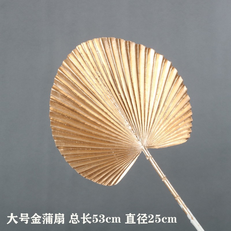 (金漆)大蒲扇