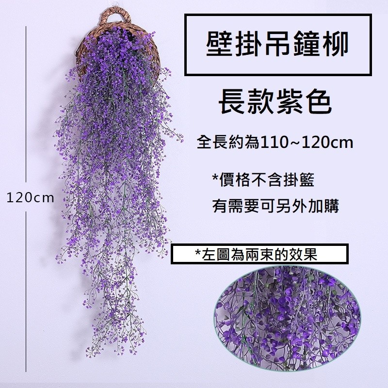 長款壁掛吊鐘柳(金鐘柳)紫色,價錢為1束的價格