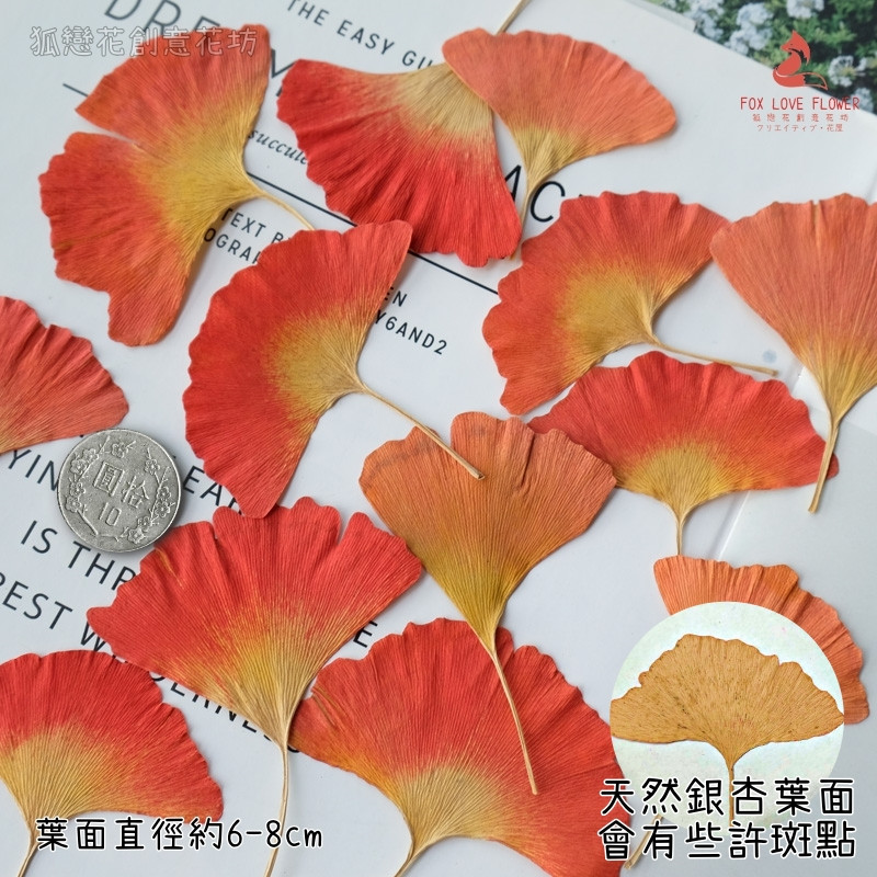 ❰紅色❱銀杏葉(5片)